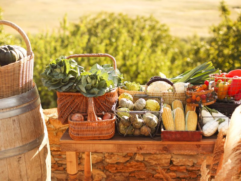 various-fruits-basket-field (1)